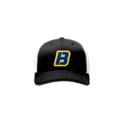 2691 Team Cap R172 SEATTLE-HONEY-BADGERS-BLACK