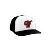 3079 Team Cap PTS30 WARMINGTON-CUSTOM-BLAST