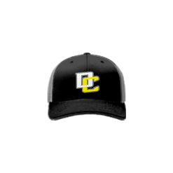2390 Team Cap R172 DC-MURDER-HORNETS