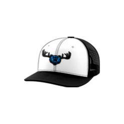 464 Team Cap Trucker 112 THE-HIDEAWAY-FLO-PURP