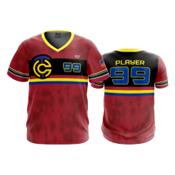 3091 FD Sport V-Neck MENS TRAVELING-CIRCUS-1