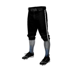1727 CL KNICKERS CUSTOM BRAIDED BALL PANT EMS