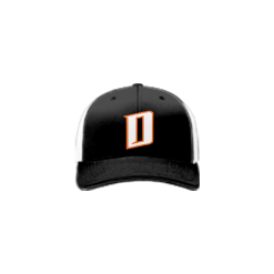 2217 Team Cap R172 DUCKS-2