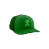 2788 Team Cap PTS30 KIDNEY-AWARENESS