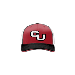 3120 Team Cap R172 C-U-NEXT-TUESDAY