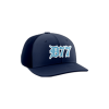 814 Team Cap PTS30 DYNASTY-77