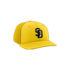 2316 Team Cap PTS30 SANDLOT-DEFENDERS-1