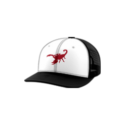 2811 Team Cap Trucker 112 OHIO-STING-2021-1