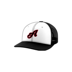 3150 Team Cap Trucker 112 LADY-ACES-1