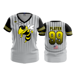 2312 FD Womens V-Neck HORNETS
