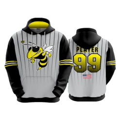 2312 FD Hoody HORNETS