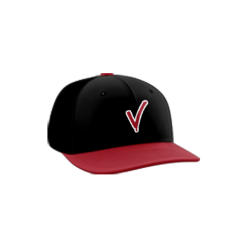 3115 Team Cap PTS30 VILLAINS-1