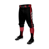 3115 CL KNICKERS CUSTOM BRAIDED BALL PANT VILLAINS-1