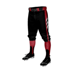 3115 CL KNICKERS CUSTOM BRAIDED BALL PANT VILLAINS-1