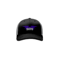 2810 Team Cap R172 BATS-BASEBALL-1