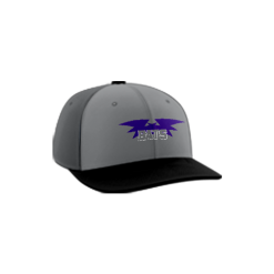 2810 Team Cap PTS30 BATS-BASEBALL-1