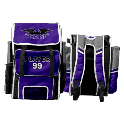 2810 Game Day Bat Pack BATS-BASEBALL-1