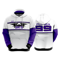2810 FD Hoody BATS-BASEBALL-2