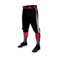 3185 CL KNICKERS CUSTOM BRAIDED BALL PANT PIKETON-1