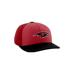 3169 Team Cap PTS30 EBC-2020-RED