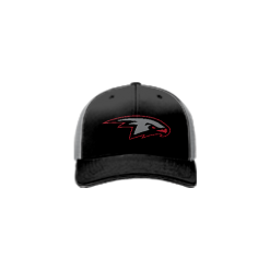 3169 Team Cap R172 EBC-GREY-ASTRO