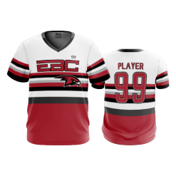 3169 FD Sport V-Neck MENS EBC-GREY-ASTRO