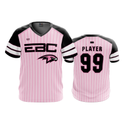 3169 FD Sport V-Neck MENS EBC-MOTHERS-DAY