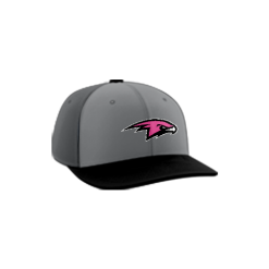 3169 Team Cap PTS30 EBC-PINK