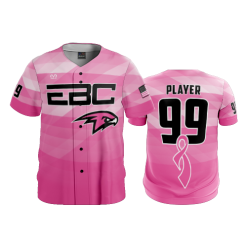 3169 FD ProTek Mens Full Button Down - CL EBC-PINK