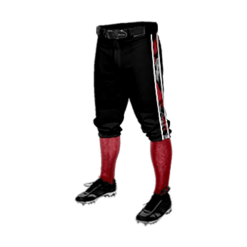 2450 CL KNICKERS CUSTOM BRAIDED BALL PANT COMACHOS
