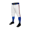 994 CL KNICKERS CUSTOM BRAIDED BALL PANT ZOMBIE-MILITIA-2