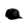 3219 Team Cap PTS30 REDHAWKS-BASEBALL-PIN-1