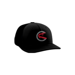3219 Team Cap PTS30 REDHAWKS-BASEBALL-PIN-1