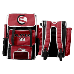 3219 Game Day Bat Pack REDHAWKS-BASEBALL-PIN-1