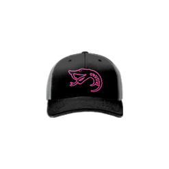 2416 Team Cap R172 NWI-VIPERS-SNAKE-LOGO-1