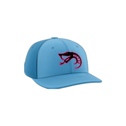 2416 Team Cap PTS30 NWI-VIPERS-SNAKE-LOGO-1