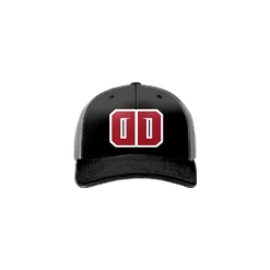 3196 Team Cap R172 DUGOUT-DISASTERS-1