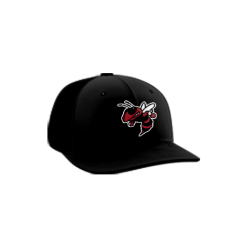 3225 Team Cap PTS30 SOUTHERN-OHIO-SWARM-1