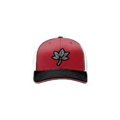 2827 Team Cap R172 BUCKEYE-ELITE-1