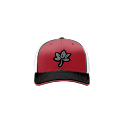 2827 Team Cap R172 BUCKEYES-ELITE-1