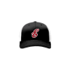 2465 Team Cap R172 ENFORCERS-1
