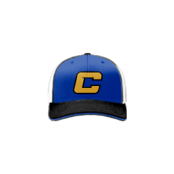 3244 Team Cap R172 CLAY-FASTPITCH-1