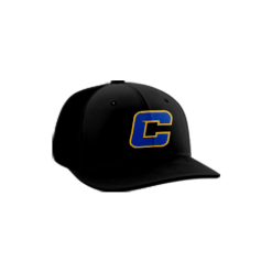 3244 Team Cap PTS30 CLAY-FASTPITCH-1