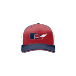 3255 Team Cap R172 DISTRICT-7-1