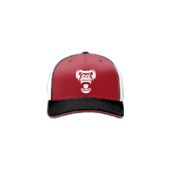 3258 Team Cap R172 THRILLA-MAD-GORILLA-1