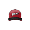 3261 Team Cap R172 DAWGS-1