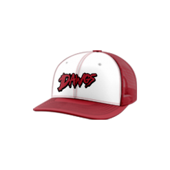 3261 Team Cap Trucker 112 DAWGS-1