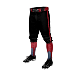 3261 CL KNICKERS CUSTOM BRAIDED BALL PANT DAWGS-1