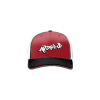 3270 Team Cap R172 ALL-TUNED-UP-1