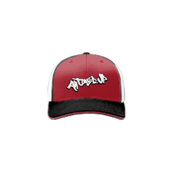 3270 Team Cap R172 ALL-TUNED-UP-1
